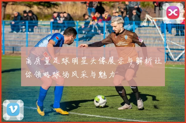 高质量足球明星头像展示与解析让你领略球场风采与魅力