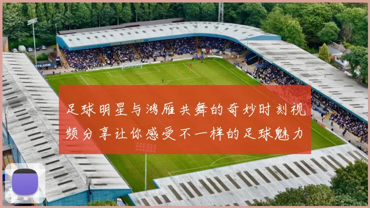 足球明星与鸿雁共舞的奇妙时刻视频分享让你感受不一样的足球魅力