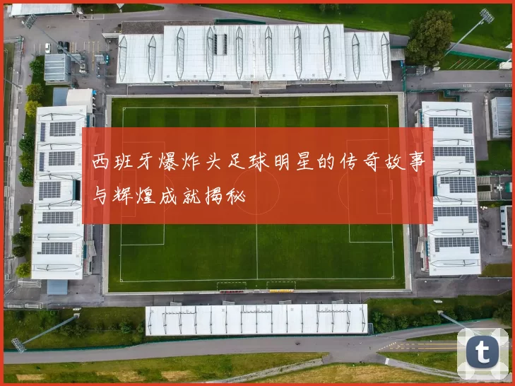 西班牙爆炸头足球明星的传奇故事与辉煌成就揭秘