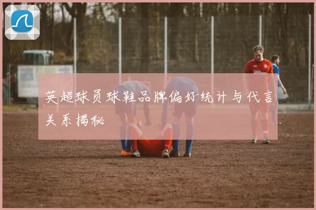 英超球员球鞋品牌偏好统计与代言关系揭秘