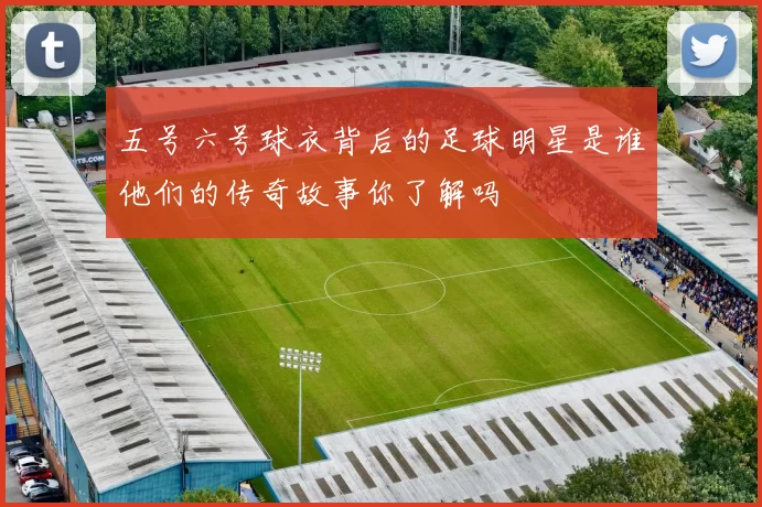 五号六号球衣背后的足球明星是谁他们的传奇故事你了解吗