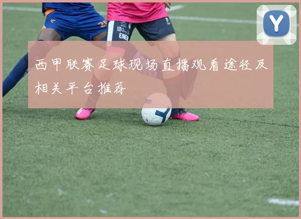 西甲联赛足球现场直播观看途径及相关平台推荐