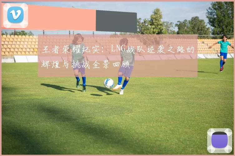 王者荣耀纪实：LNG战队逆袭之路的辉煌与挑战全景回顾