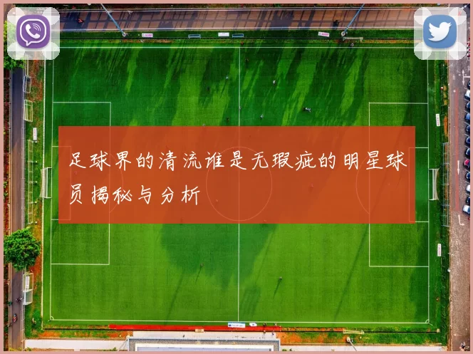 足球界的清流谁是无瑕疵的明星球员揭秘与分析