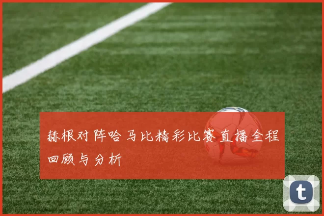 赫根对阵哈马比精彩比赛直播全程回顾与分析