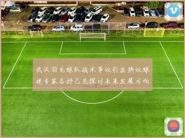 武汉羽毛球队战术争议引发热议球迷专家各抒己见探讨未来发展方向
