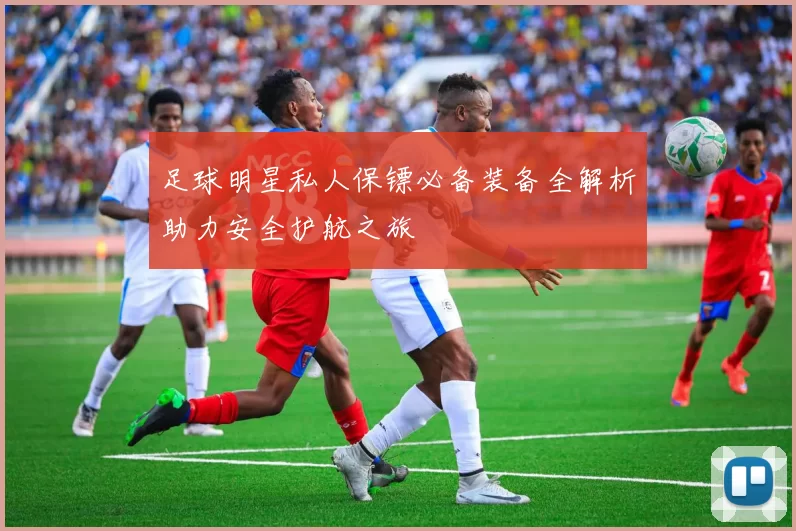 足球明星私人保镖必备装备全解析助力安全护航之旅