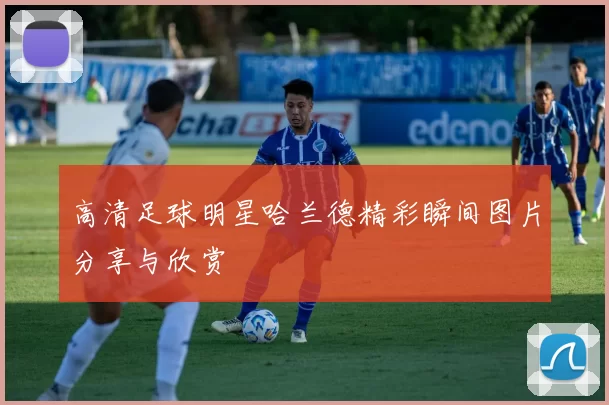 高清足球明星哈兰德精彩瞬间图片分享与欣赏