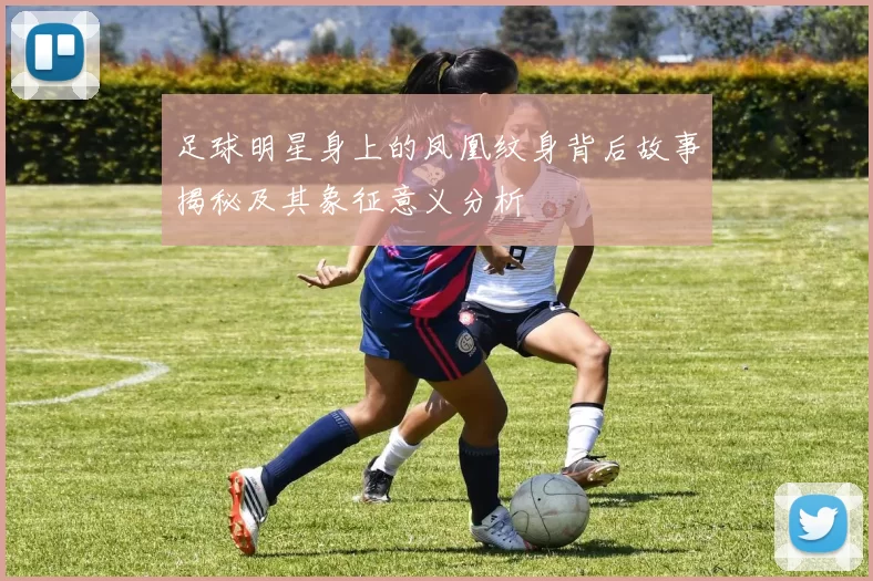 足球明星身上的凤凰纹身背后故事揭秘及其象征意义分析