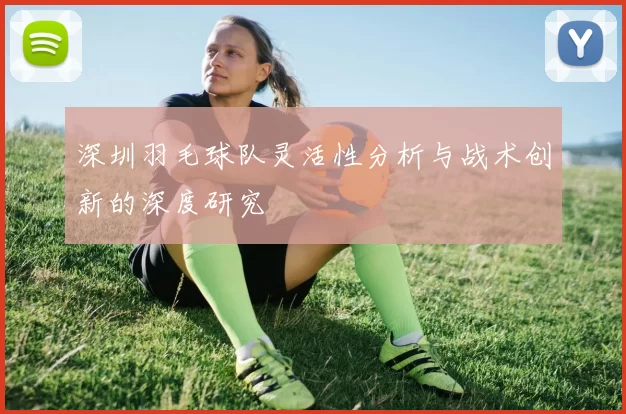 深圳羽毛球队灵活性分析与战术创新的深度研究