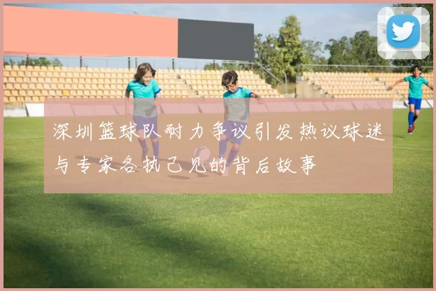深圳篮球队耐力争议引发热议球迷与专家各执己见的背后故事