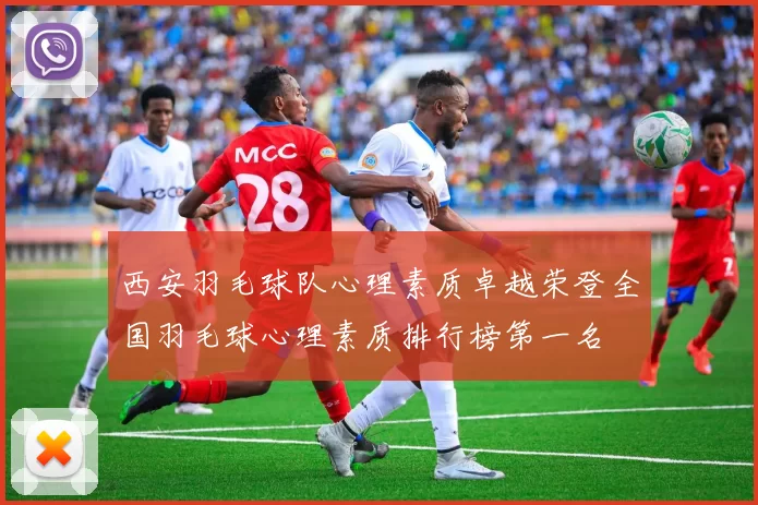 西安羽毛球队心理素质卓越荣登全国羽毛球心理素质排行榜第一名