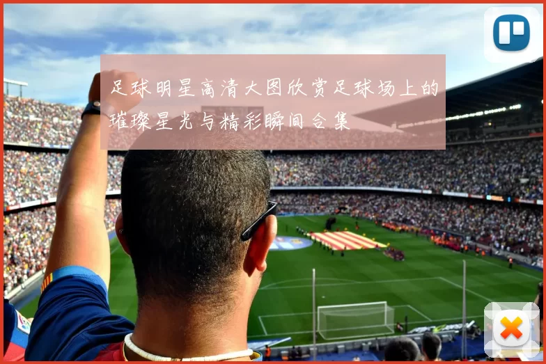 足球明星高清大图欣赏足球场上的璀璨星光与精彩瞬间合集