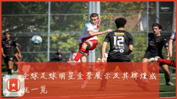 全球足球明星全景展示及其辉煌成就一览