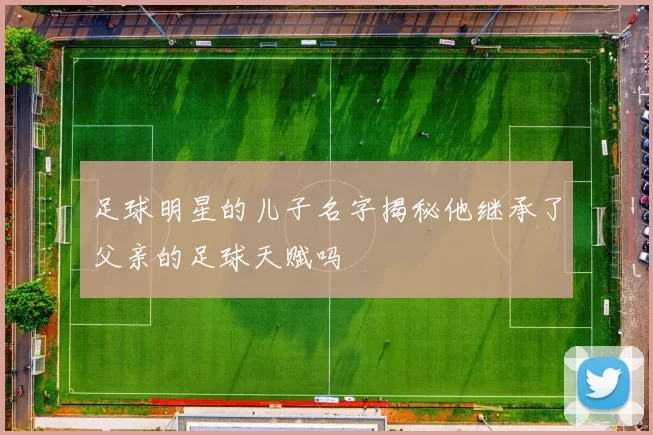 足球明星的儿子名字揭秘他继承了父亲的足球天赋吗