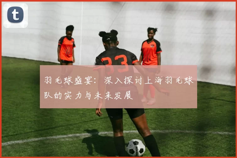 羽毛球盛宴：深入探讨上海羽毛球队的实力与未来发展