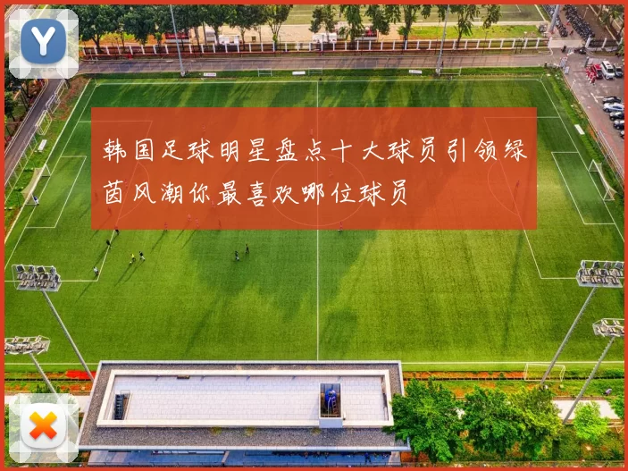韩国足球明星盘点十大球员引领绿茵风潮你最喜欢哪位球员