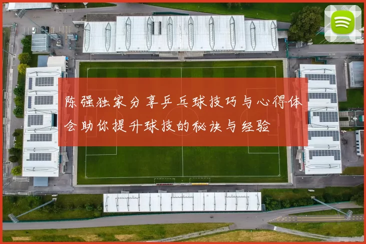 陈强独家分享乒乓球技巧与心得体会助你提升球技的秘诀与经验