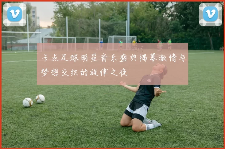 卡点足球明星音乐盛典揭幕激情与梦想交织的旋律之夜