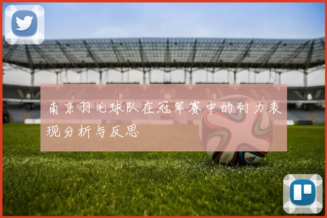 南京羽毛球队在冠军赛中的耐力表现分析与反思