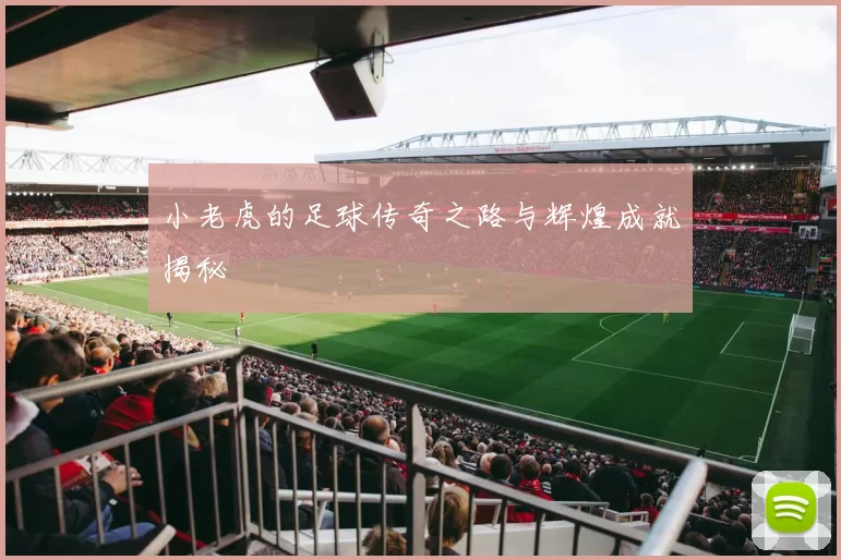 小老虎的足球传奇之路与辉煌成就揭秘