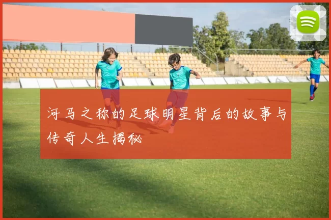 河马之称的足球明星背后的故事与传奇人生揭秘